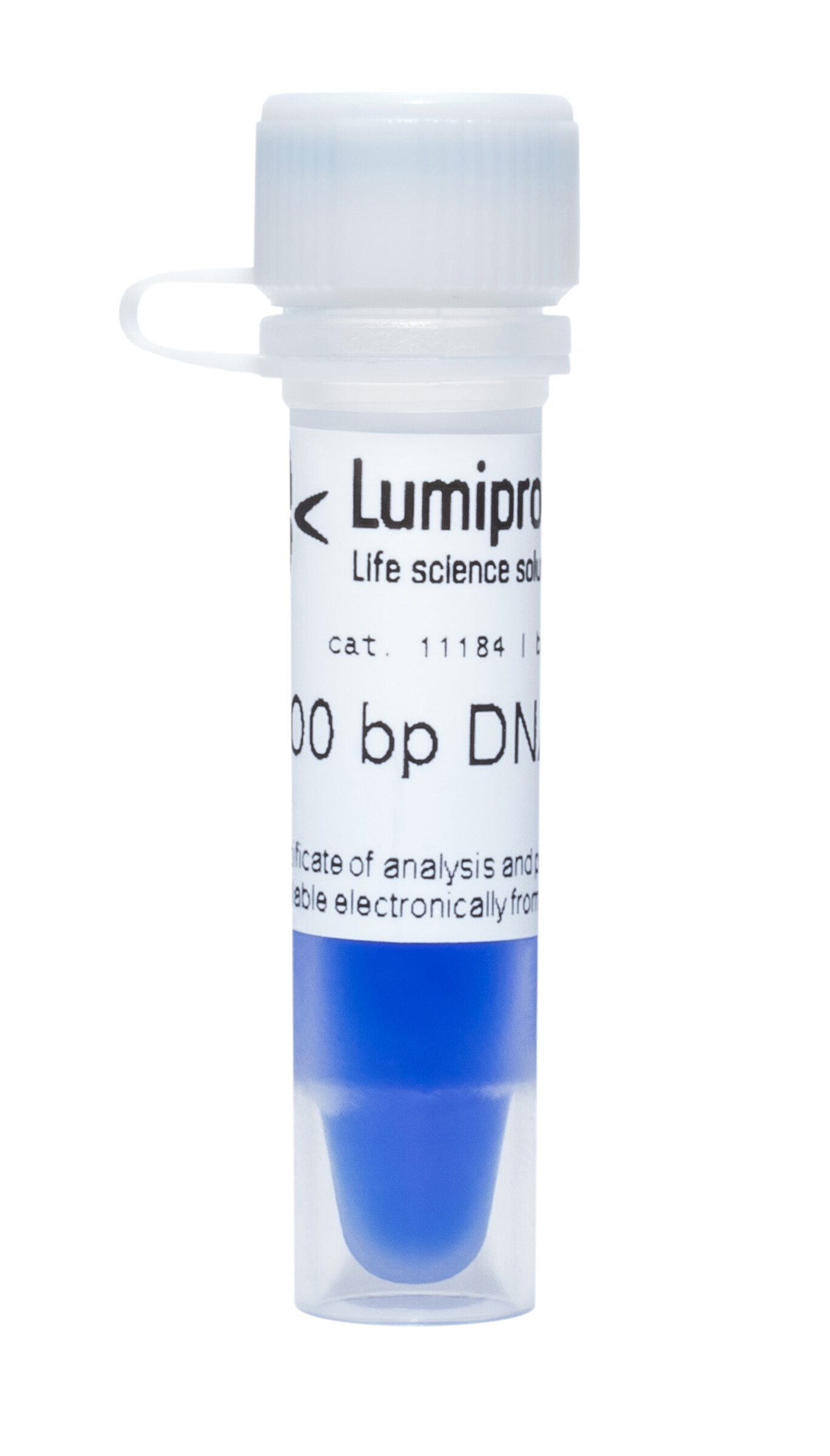 Probing Ladder 100 bp DNA Ladder