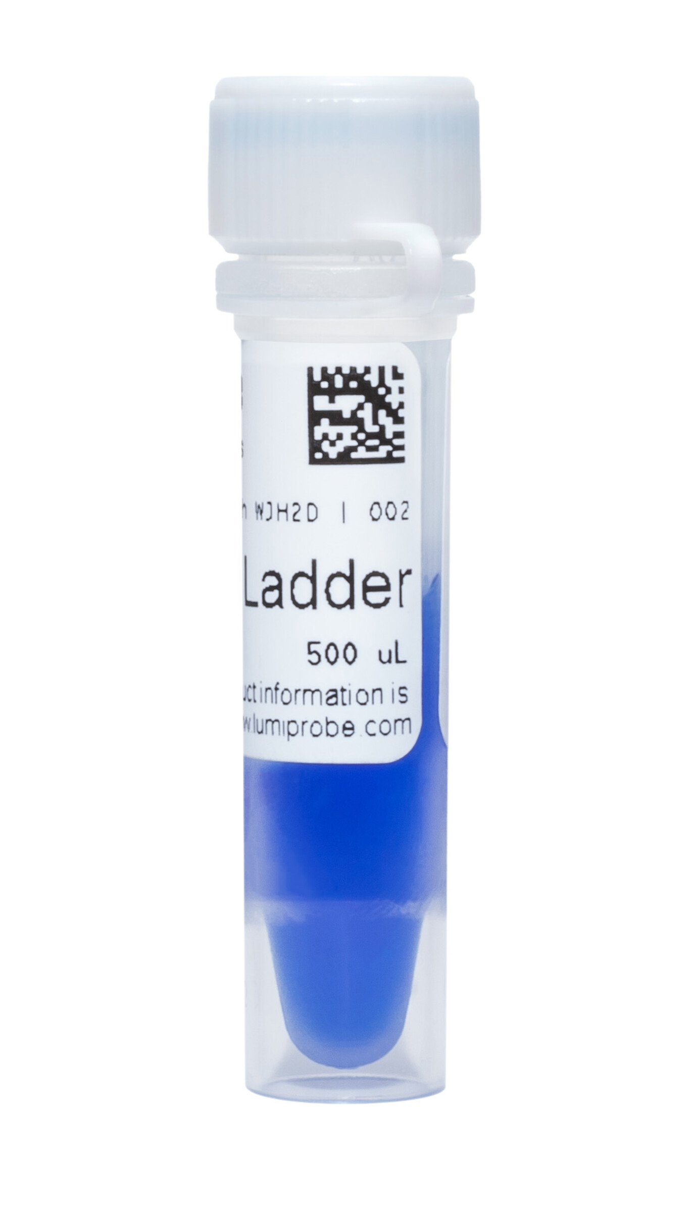 Probing Ladder 100 bp DNA Ladder