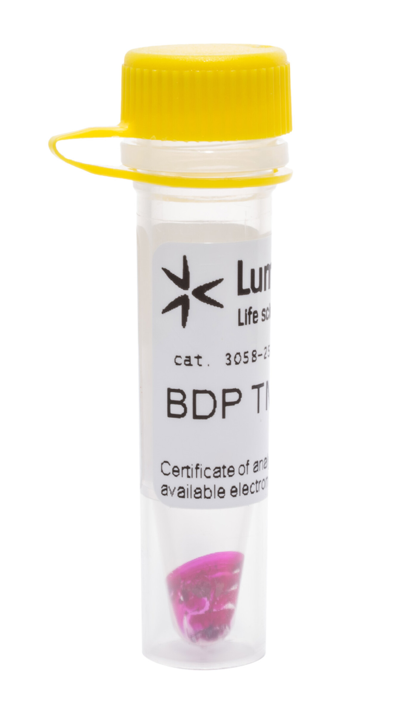 BDP-TMR-ceramide-1.jpg