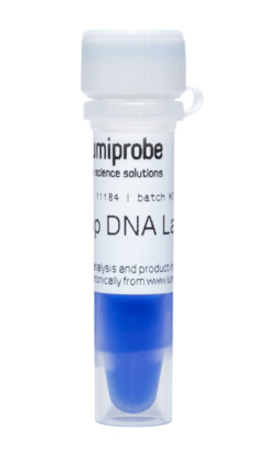 Маркер длин ДНК 100 п.о., 11184