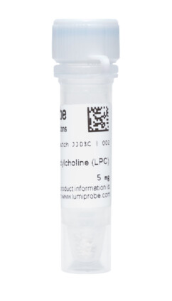 C26:LPC IS (C26:0-лизофосфатидилхолин-d4), 4929-5MG