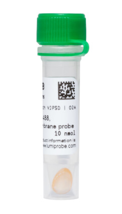 MemBlaze® 488, зеленый флуоресцентный мембранный краситель, 22M10