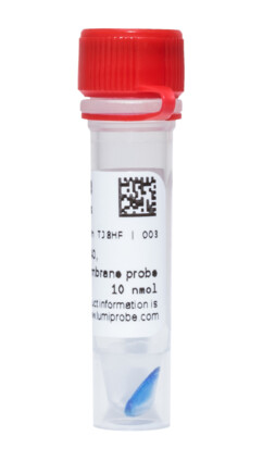 MemBlaze® 640, дальне-красный флуоресцентный мембранный краситель, 25M10
