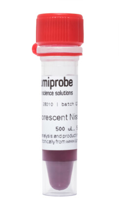 Red Fluorescent Nissl Stain, 2B010