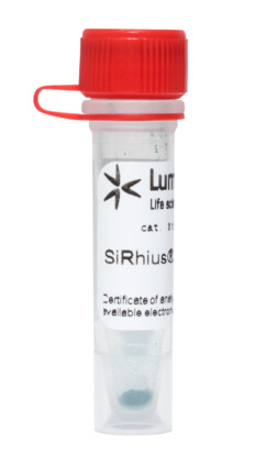 SiRhius® 650 NHS-эфир, 31S20