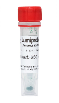 SiRhius® 650 NHS-эфир, 31S20