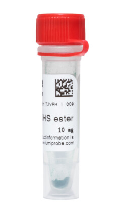 SiRhius® 650 NHS-эфир, 31S20