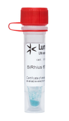 SiRhius® 650 карбоновая кислота, 31S90