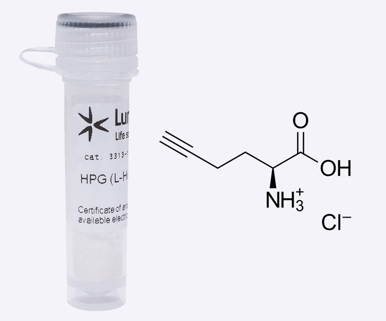 HPG (L-Homopropargylglycine)