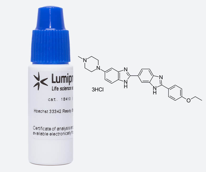 Hoechst 33342 Ready Stain