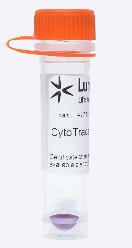CytoTracer Orange CMTMR