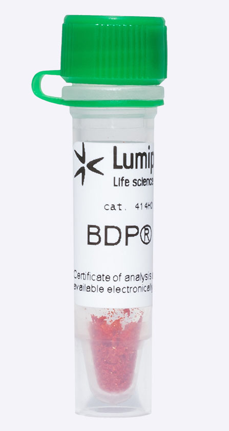 BDP FL TCO