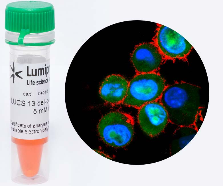 LumiNuc LUCS 13