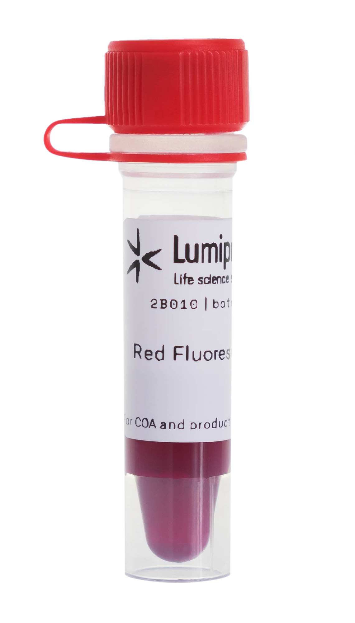 Red Fluorescent Nissl Stain, 2B010