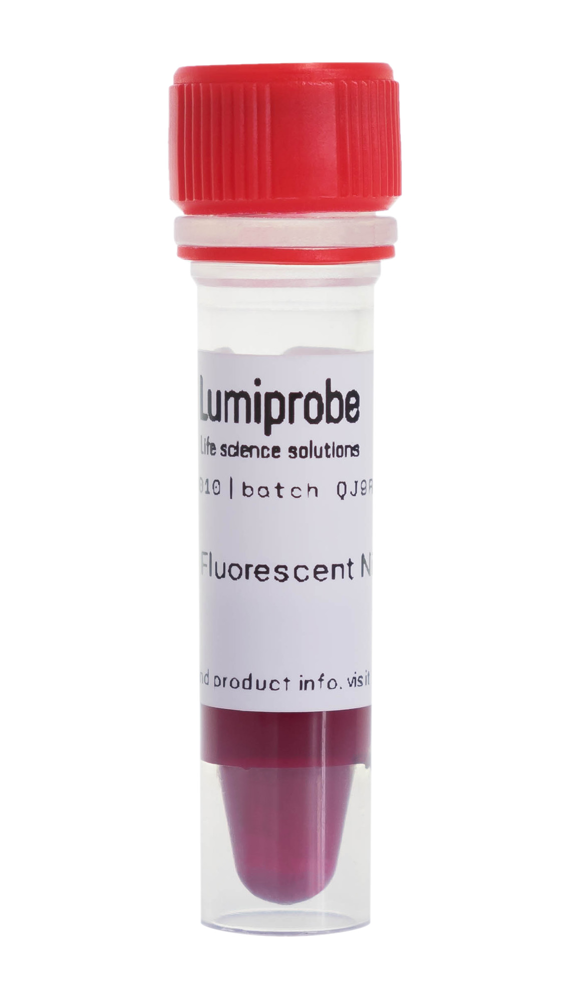 Red Fluorescent Nissl Stain, 2B010