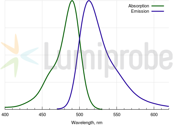 FAM absorbance and emission spectra