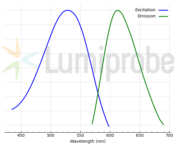 Спектры возбуждения и эмиссии комплекса дцДНК с Red Fluorescent Nissl Stain