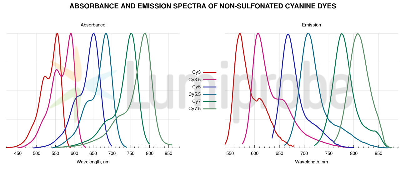 Click to enlarge Absorbance and emission spectra of non-sulfonated cyanine dyes