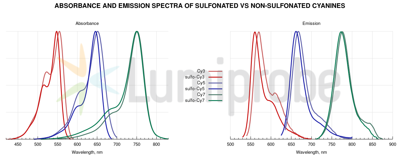 Click to enlarge Comparison between Cy and sulfo-Cy dyes
